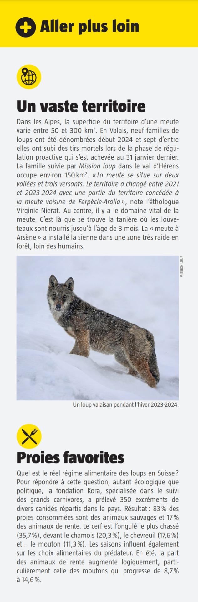 Article la salamandre 2