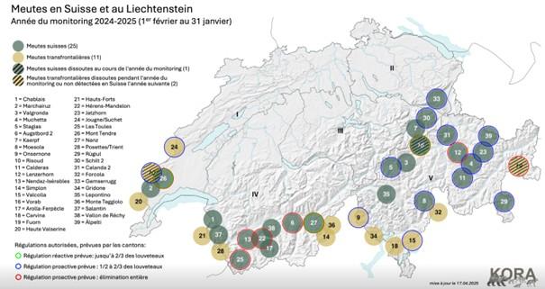 Carte meutes suisses kora janvier 2026
